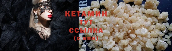 прущие грибы Корсаков