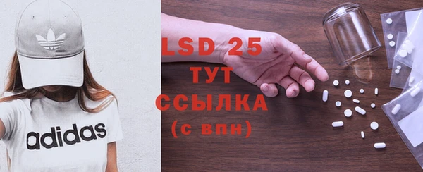прущие грибы Корсаков
