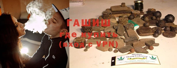 прущие грибы Коряжма