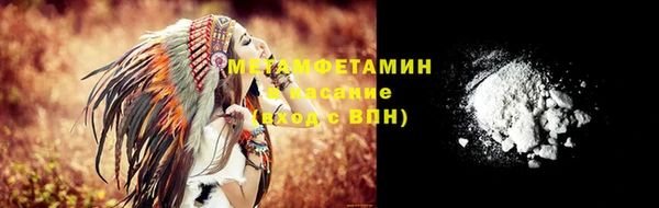 прущие грибы Коряжма