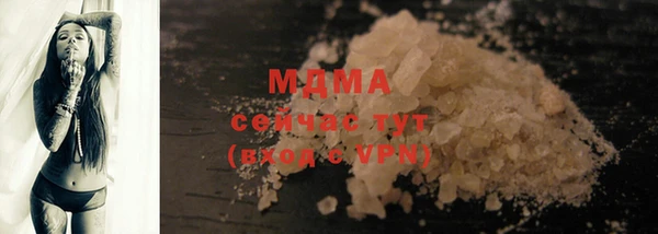 прущие грибы Коряжма