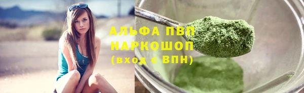 прущие грибы Корсаков