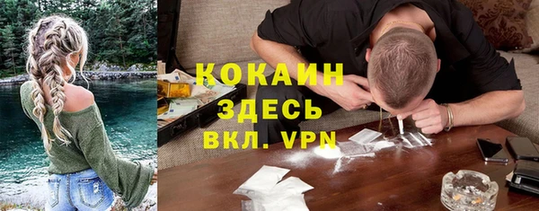 прущие грибы Коряжма