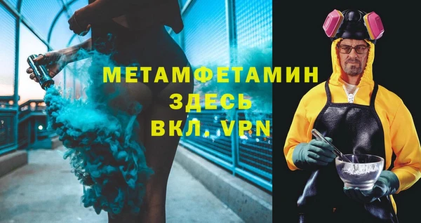 прущие грибы Коряжма