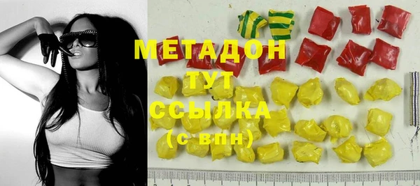 прущие грибы Коряжма