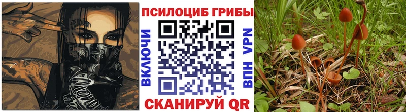 Галлюциногенные грибы мухоморы  где купить наркоту  Сунжа 