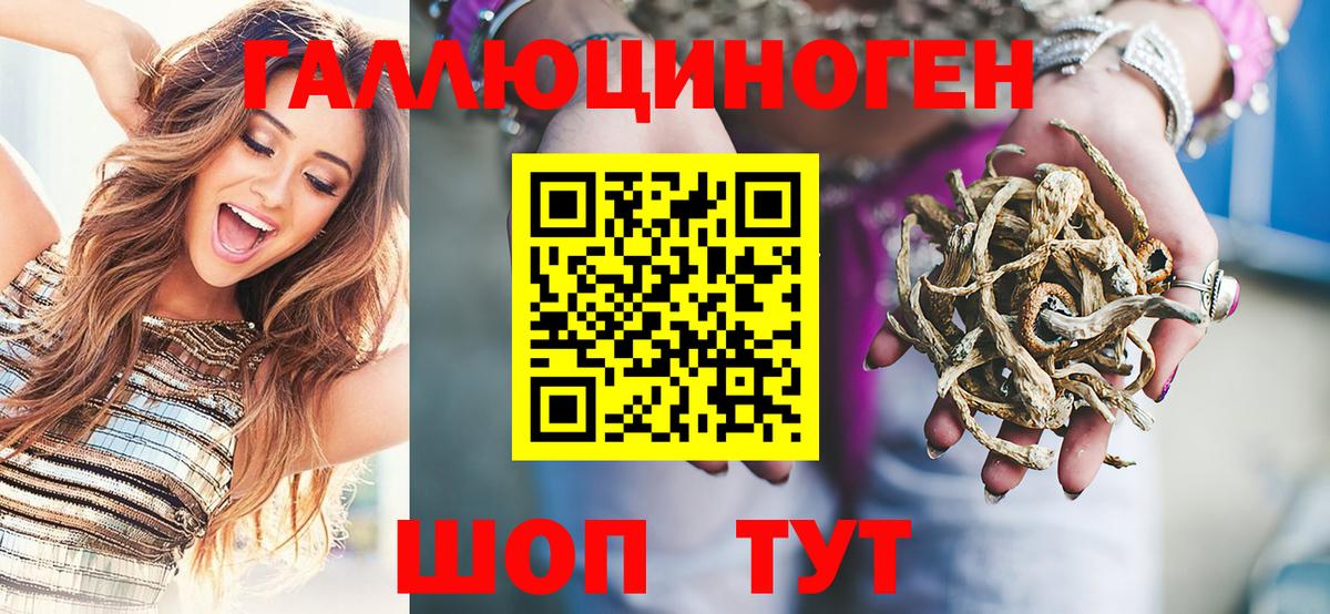 Сунжа  где купить наркотик  Вход с VPN  Галлюциногенные грибы прущие грибы 